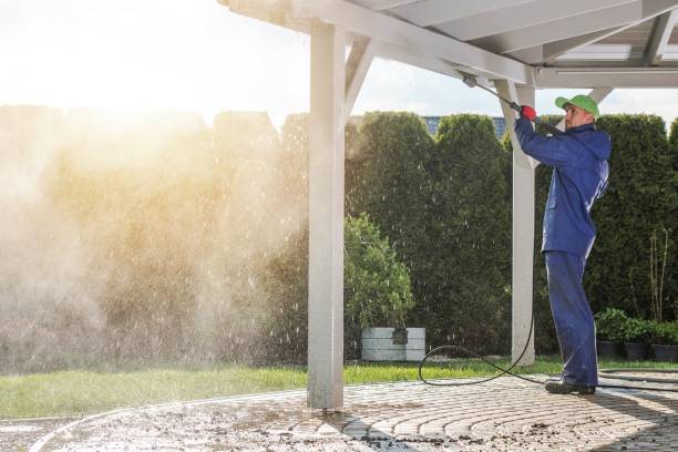 Best Driveway Pressure Washing  in Lake Holiday, IL