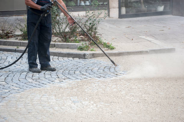 Best Gas Station Cleaning  in Lake Holiday, IL